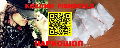 крисы Моздок
