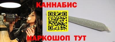 крисы Моздок