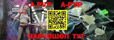 крисы Моздок
