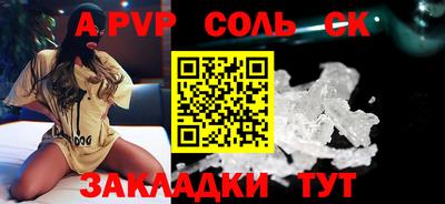 крисы Моздок