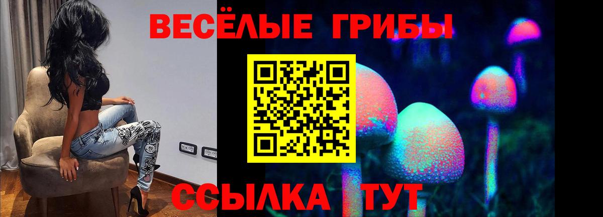 Чайковский  Галлюциногенные грибы мицелий  Вход с VPN 